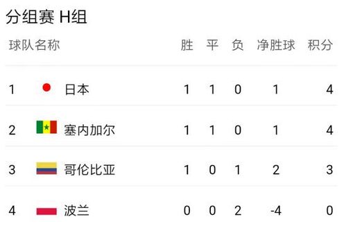日本vs波兰赛场,日本vs波兰赛场比分