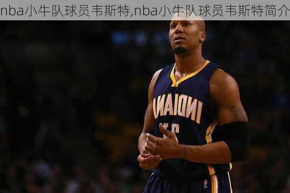 nba小牛队球员韦斯特,nba小牛队球员韦斯特简介