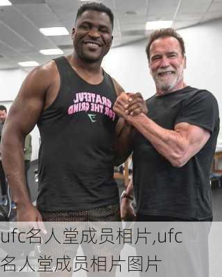 ufc名人堂成员相片,ufc名人堂成员相片图片