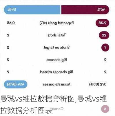 曼城vs维拉数据分析图,曼城vs维拉数据分析图表