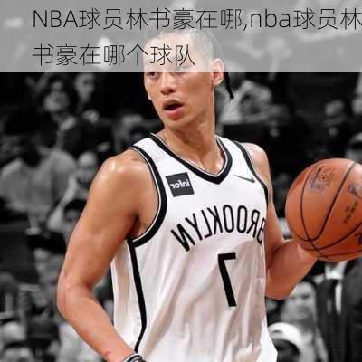 NBA球员林书豪在哪,nba球员林书豪在哪个球队