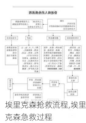 埃里克森抢救流程,埃里克森急救过程