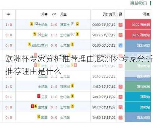 欧洲杯专家分析推荐理由,欧洲杯专家分析推荐理由是什么