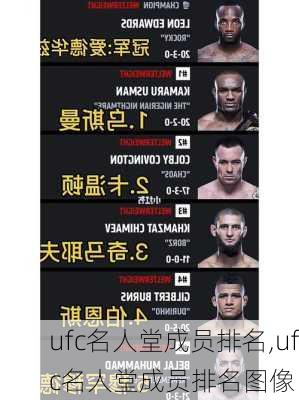 ufc名人堂成员排名,ufc名人堂成员排名图像