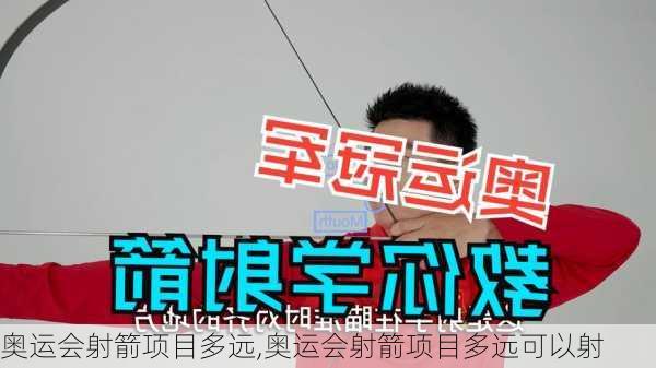 奥运会射箭项目多远,奥运会射箭项目多远可以射