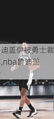 鲁迪盖伊被勇士裁掉,nba鲁迪盖伊