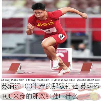 苏炳添100米穿的那双钉鞋,苏炳添100米穿的那双钉鞋叫什么