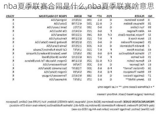 nba夏季联赛合同是什么,nba夏季联赛啥意思