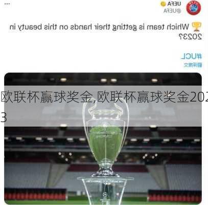 欧联杯赢球奖金,欧联杯赢球奖金2023