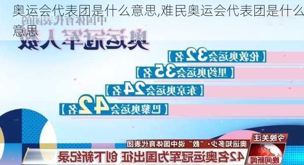 奥运会代表团是什么意思,难民奥运会代表团是什么意思