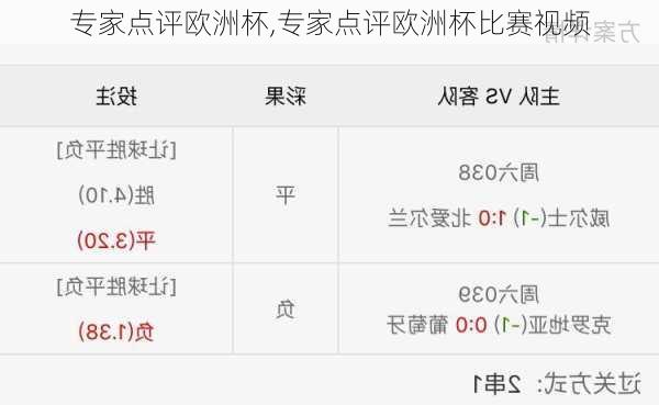 专家点评欧洲杯,专家点评欧洲杯比赛视频