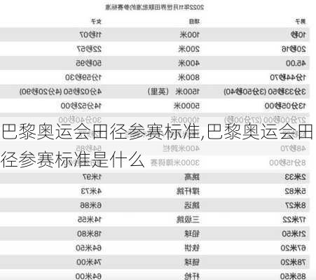 巴黎奥运会田径参赛标准,巴黎奥运会田径参赛标准是什么