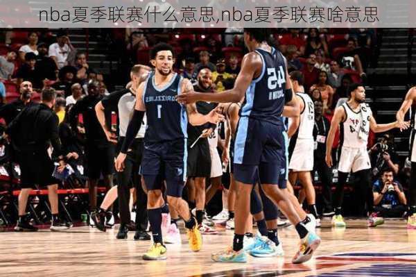 nba夏季联赛什么意思,nba夏季联赛啥意思