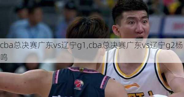 cba总决赛广东vs辽宁g1,cba总决赛广东vs辽宁g2杨鸣