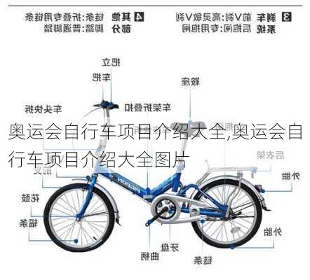 奥运会自行车项目介绍大全,奥运会自行车项目介绍大全图片