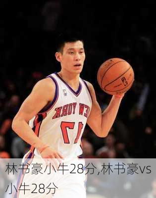 林书豪小牛28分,林书豪vs小牛28分