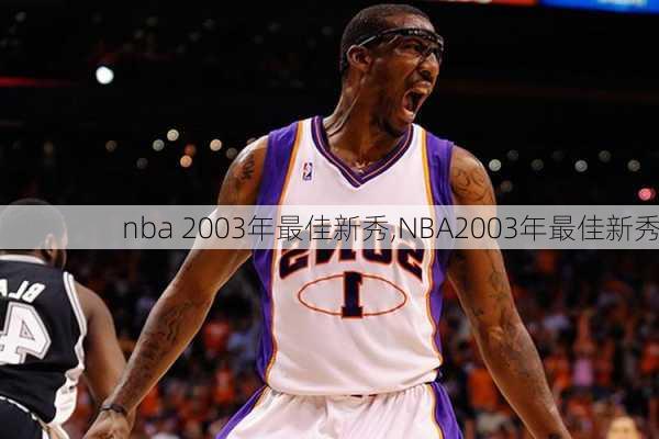 nba 2003年最佳新秀,NBA2003年最佳新秀