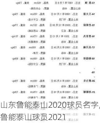 山东鲁能泰山2020球员名字,鲁能泰山球员2021