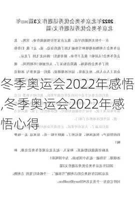 冬季奥运会2022年感悟,冬季奥运会2022年感悟心得