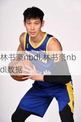 林书豪nbdl,林书豪nbdl数据