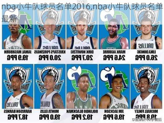 nba小牛队球员名单2016,nba小牛队球员名单最新