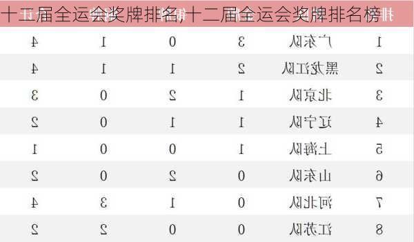 十二届全运会奖牌排名,十二届全运会奖牌排名榜