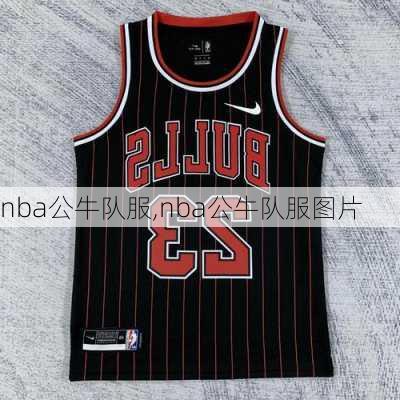 nba公牛队服,nba公牛队服图片