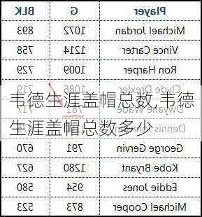 韦德生涯盖帽总数,韦德生涯盖帽总数多少