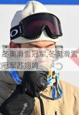 冬奥滑雪冠军,冬奥滑雪冠军苏翊鸣