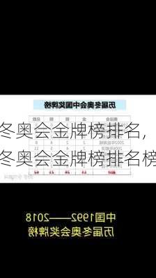 冬奥会金牌榜排名,冬奥会金牌榜排名榜