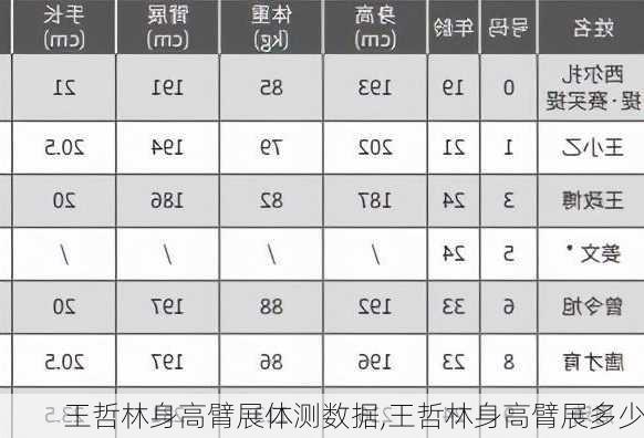 王哲林身高臂展体测数据,王哲林身高臂展多少