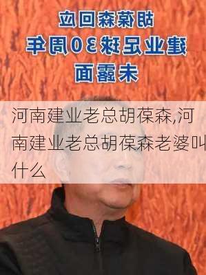 河南建业老总胡葆森,河南建业老总胡葆森老婆叫什么