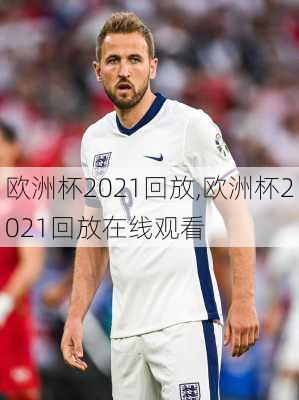 欧洲杯2021回放,欧洲杯2021回放在线观看