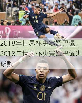 2018年世界杯决赛姆巴佩,2018年世界杯决赛姆巴佩进球数