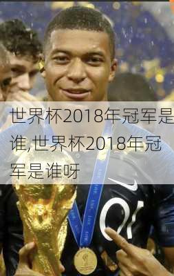 世界杯2018年冠军是谁,世界杯2018年冠军是谁呀