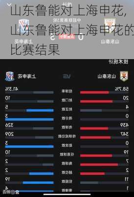 山东鲁能对上海申花,山东鲁能对上海申花的比赛结果