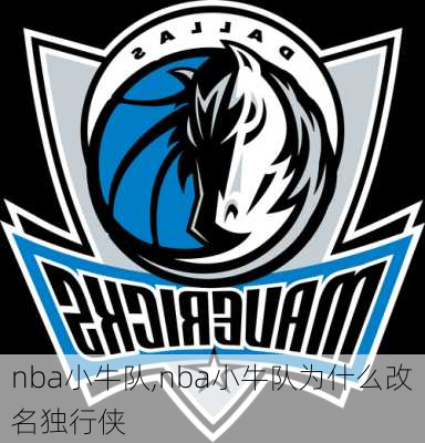 nba小牛队,nba小牛队为什么改名独行侠