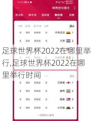 足球世界杯2022在哪里举行,足球世界杯2022在哪里举行时间