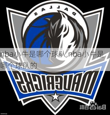 nba小牛是哪个球队,nba小牛是哪个球队的