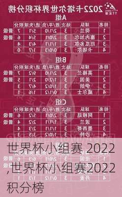 世界杯小组赛 2022,世界杯小组赛2022积分榜