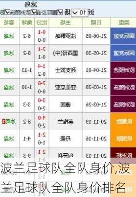 波兰足球队全队身价,波兰足球队全队身价排名