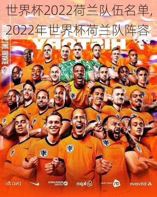 世界杯2022荷兰队伍名单,2022年世界杯荷兰队阵容