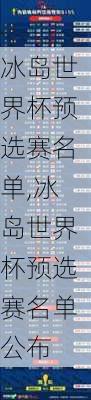 冰岛世界杯预选赛名单,冰岛世界杯预选赛名单公布