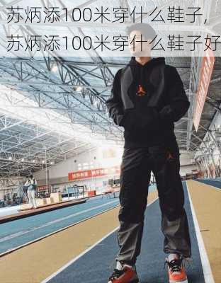 苏炳添100米穿什么鞋子,苏炳添100米穿什么鞋子好