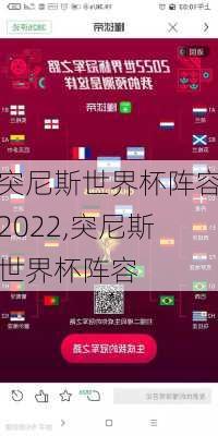 突尼斯世界杯阵容2022,突尼斯世界杯阵容