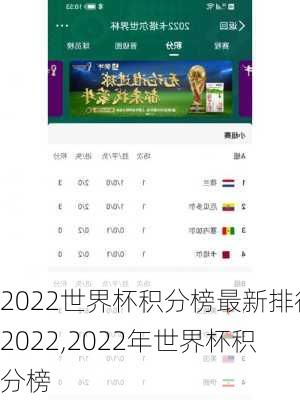 2022世界杯积分榜最新排行2022,2022年世界杯积分榜