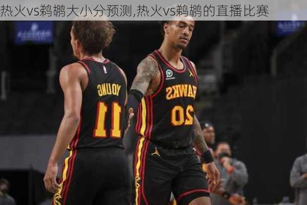 热火vs鹈鹕大小分预测,热火vs鹈鹕的直播比赛